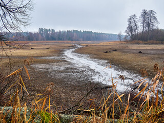 Dried lakebed with a narrow stream in late autumn under cloudy sky, surrounded by forest and reeds