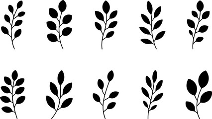 Set of leaves silhouette of beautiful plants, Vector illustration