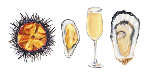 Set of watercolor hand painted delicious raw seafood oysters, mussels and sea urchin simple sketch illustration on white background. DIY elements for French cuisine menu, social media, ads and posters