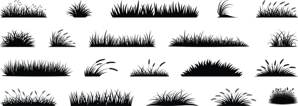 Large set of 20 grass silhouette vector elements with various natural groundcover and style variations
