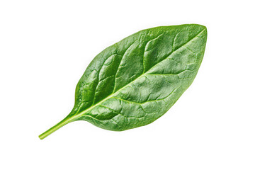 Fresh green spinach leaf detailed macro photography, healthy food ingredient, vegetable nutrition, isolated on transparent background