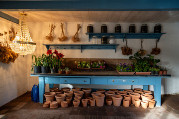 Independent plant store providing greenery options, gardening essentials and decorative items. Soil products, potted blooms, tool selection, seasonal vegetation, small business. Workshop scene. 