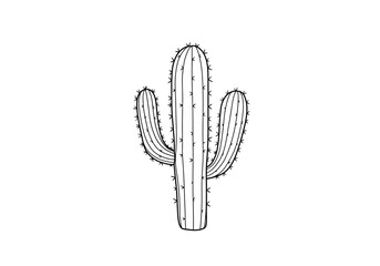 Cactus tree drawing. A vector sketch line art drawing of a large saguaro cactus, featuring its iconic branched form and spiny texture, desert landscapes and resilience. Vector sketch line art draw.