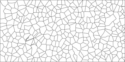 Obraz premium Abstract cellular structure black lines on white background geometric pattern creating a complex design perfect for backgrounds and textures