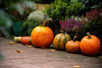 Pile of pumpkins, Halloween decorations	