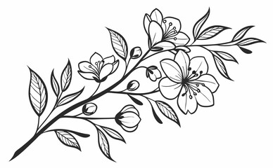 Hand-Drawn Floral Wreaths and Botanical Line Art—Vector Decorative Elements on Transparent Background


