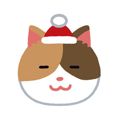 cat santa