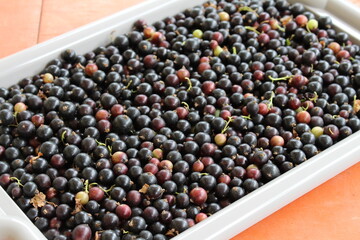 Blackcurrant is a very healthy berry that is recommended to be included in your diet to maintain health and prevent various diseases