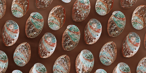 Seashells as minimal pattern. Stylish layout of abalone shell, banner, creative sea and oceanic...