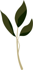 vector illustration of a branch of a plant