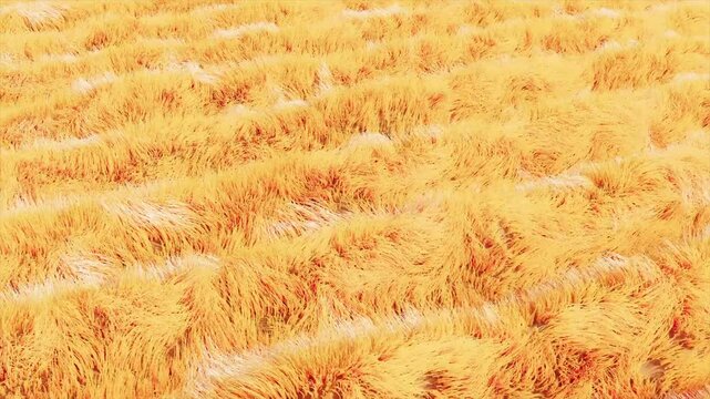 orange yellow hair fur curl wave move endless
