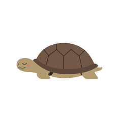 Cartoon Tortoise with Brown Shell and Simple Facial Expression.