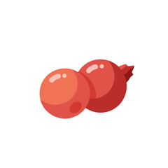 Two Vibrant Pomegranates in Stylized Illustration.