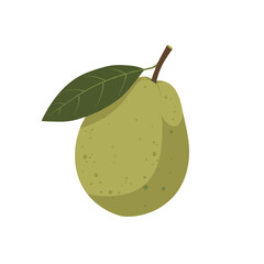 Single Green Guava with Leaf Illustration.