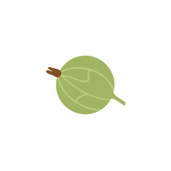 Simple Illustration of a Green Gooseberry with Stem and Leaf Detail.