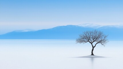 Lone tree standing on a frozen lake surrounded by ethereal winter scenery under a clear blue sky