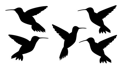 humming bird silhouette vector illustration on tranparent background