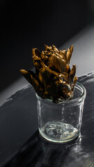 Entwined aubergine petals in glass jar, echoing Gothic botanical alchemy, ideal for Samhain decor and Solstice rituals