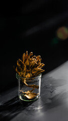 Golden artichoke preserved in glossy jar, exuding rustic autumn equinox charm, perfect for Solstice...