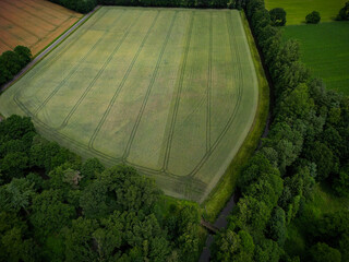 Aerial view of a large green field next to dense forests and a small stream, grain field in the...