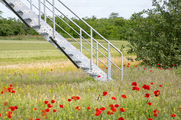 Silver staircase descends into poppy-dotted meadow, evoking Midsummer night's dreamscape, ethereal...