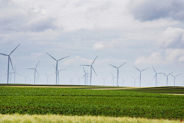 Wind turbines dance across verdant fields, whispering secrets of Gaia Theory and Arbor Day's...