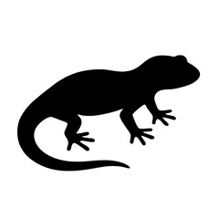 Obraz premium Silhouette of a Salamander with Smooth Curves and Distinctive Toes