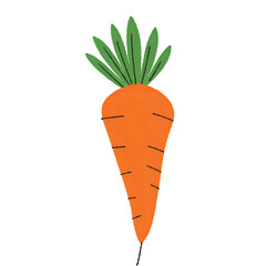 carrot vector illustration