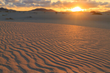 Warm sunlight casts a golden hue over gentle sand dunes, highlighting their textured surface as...