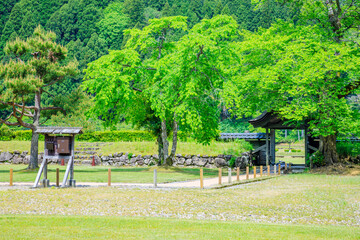 初夏の一乗谷朝倉氏遺跡　福井県福井市　Ichijodani Asakurashi Ruins in early...