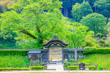 初夏の一乗谷朝倉氏遺跡　福井県福井市　Ichijodani Asakurashi Ruins in early...