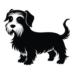 Silhouette of a Schnauzer Dog Standing Profile View Depicting Breed Standard with Trimmed Coat Isolated on White Background for Pet Lovers