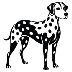 Elegant Dalmatian Illustration Striking Black and White Depiction of a Classic Breed with Distinctive Spots and Sleek Lines