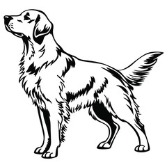 Majestic Golden Retriever Illustration Standing Tall with Graceful Fur and Gentle Eyes a Timeless Depiction of Canine Beauty