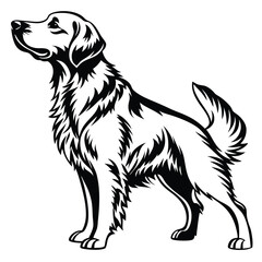 Majestic Golden Retriever Portrait Detailed Black and White Illustration of a Noble Canine Companion Standing Proudly with Elegance