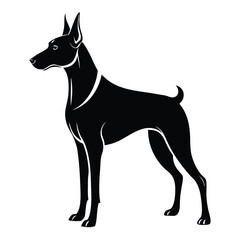 Elegant Silhouette of a Doberman Pinscher Standing Tall, A Striking Black and White Image Showcasing the Breed's Grace and Strength