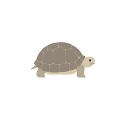 Obraz premium Simple Illustration of a Turtle in Profile View.