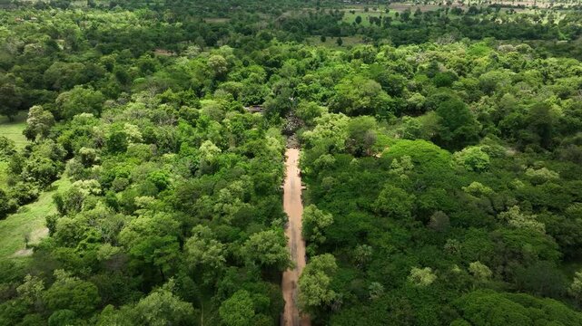 Road Through Rainforest At Beng Mealea Temple Ruins Near Siem Reap, Cambodia. Aerial Drone Shot