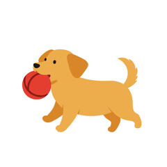 Playful Golden Retriever Puppy with a Red Ball.