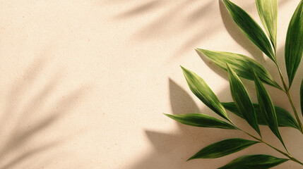 Green Leaves Shadow on Beige Textured background