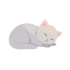 Peaceful Gray Cat Curled Up Sleeping with Closed Eyes.