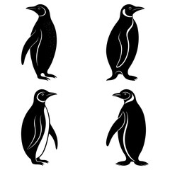 Four penguin silhouettes isolated on white background in simple design © Love