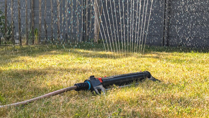 A sprinkler device is actively watering a vibrant green lawn, creating a refreshing mist in the warm afternoon sun. The grass appears healthy and well-nourished.