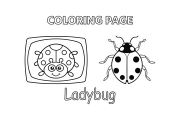 Ladybug Coloring Page with Cute Insect and Nature Theme Outline Vector, Illustration
