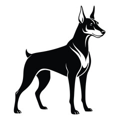 Elegant Black Doberman Pinscher Silhouette Standing Tall, Capturing Breed's Power and Grace Through Simplistic Yet Striking Vector Illustration, Enhancing Canine Artistry