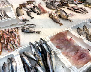 fresh fish at the market in greek