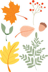 Set of autumn leaves from different trees, oak, maple, chestnut, ash, birch. Simple yellow, red, orange fall leaf set for pattern, banner, sticker. Hello autumn card. Flat vector illustration.