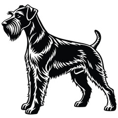 Elegant Black and White Schnauzer Illustration A Striking Depiction of Breed Standard and Graceful Canine Form A Detailed Artistic Representation