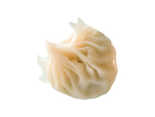 Steamed Dumpling Close up Shot of Delicate Chinese Cuisine Food Photography