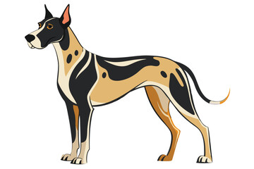 Elegant Great Dane Illustration Showing Off the Breeds Harlequin Coat Pattern Standing Tall and Proud on a Plain White Background